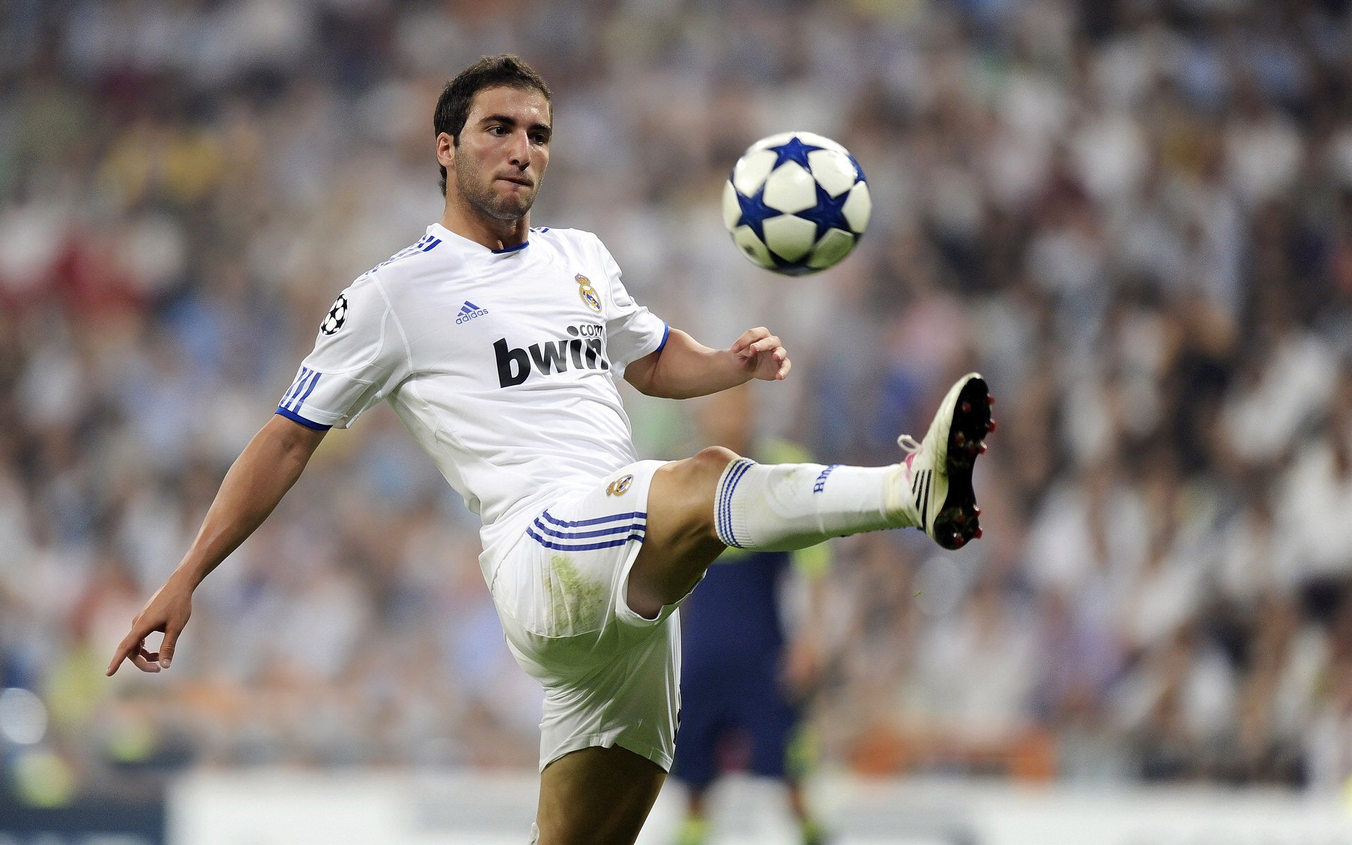 科维托娃连续十场比赛得分突破战术极限西班牙队全场沸腾